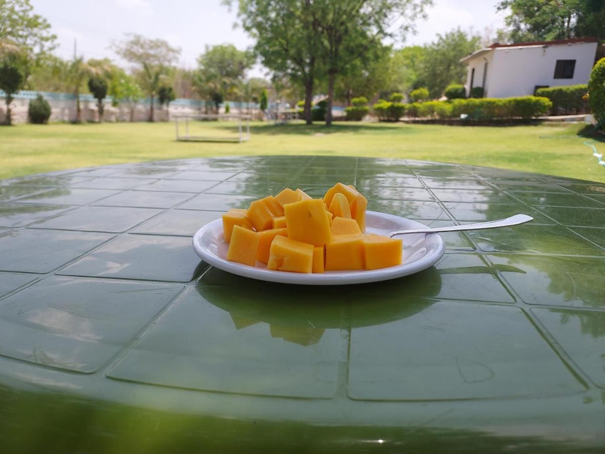 Hill View By Rudrakshi Luxury tent