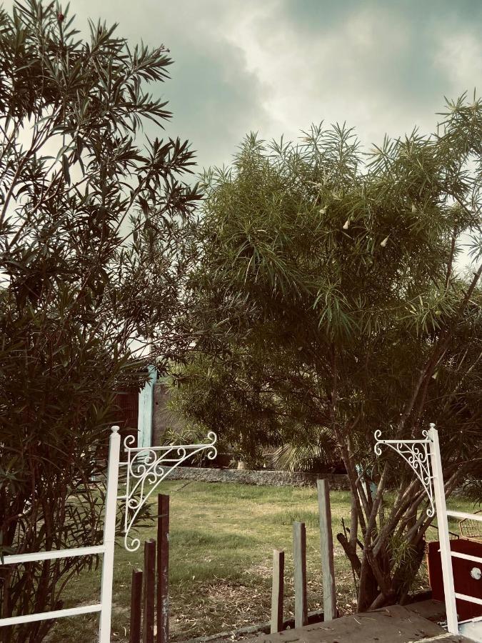 The Mudcasa Farm stay