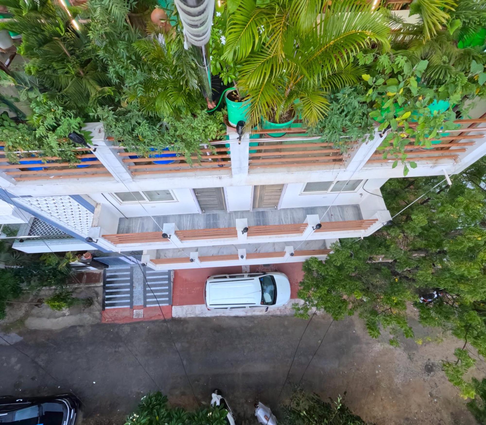 Choudhary White House Apartment