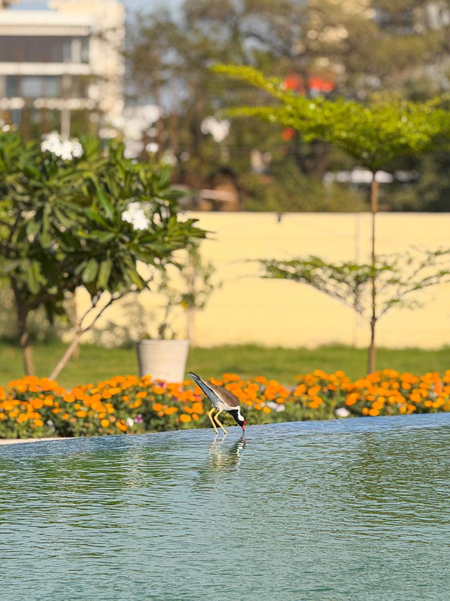 The Vaag - A Luxury Pool In Resort Udaipur