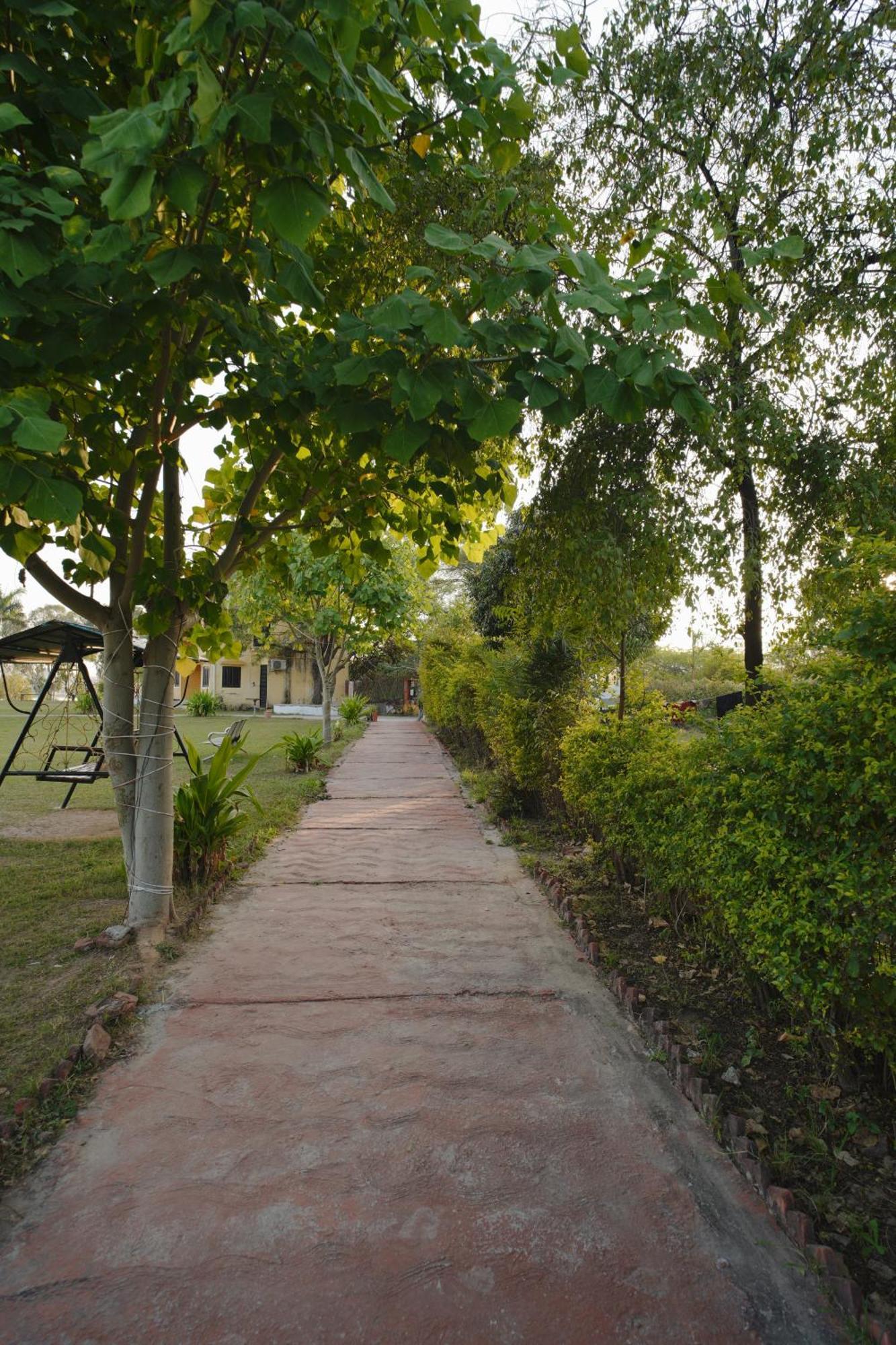 Bharat View Resort