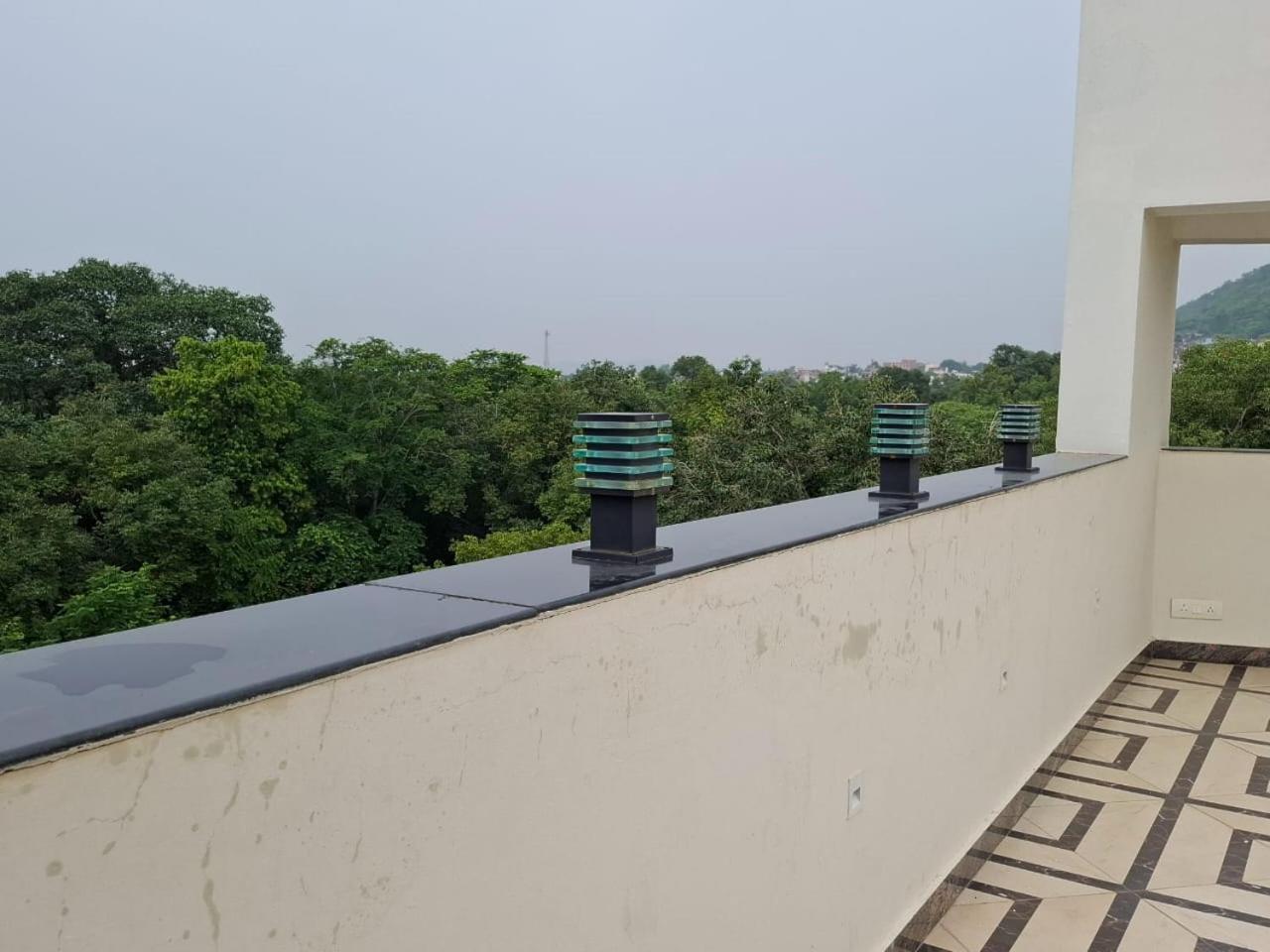 Palace View
