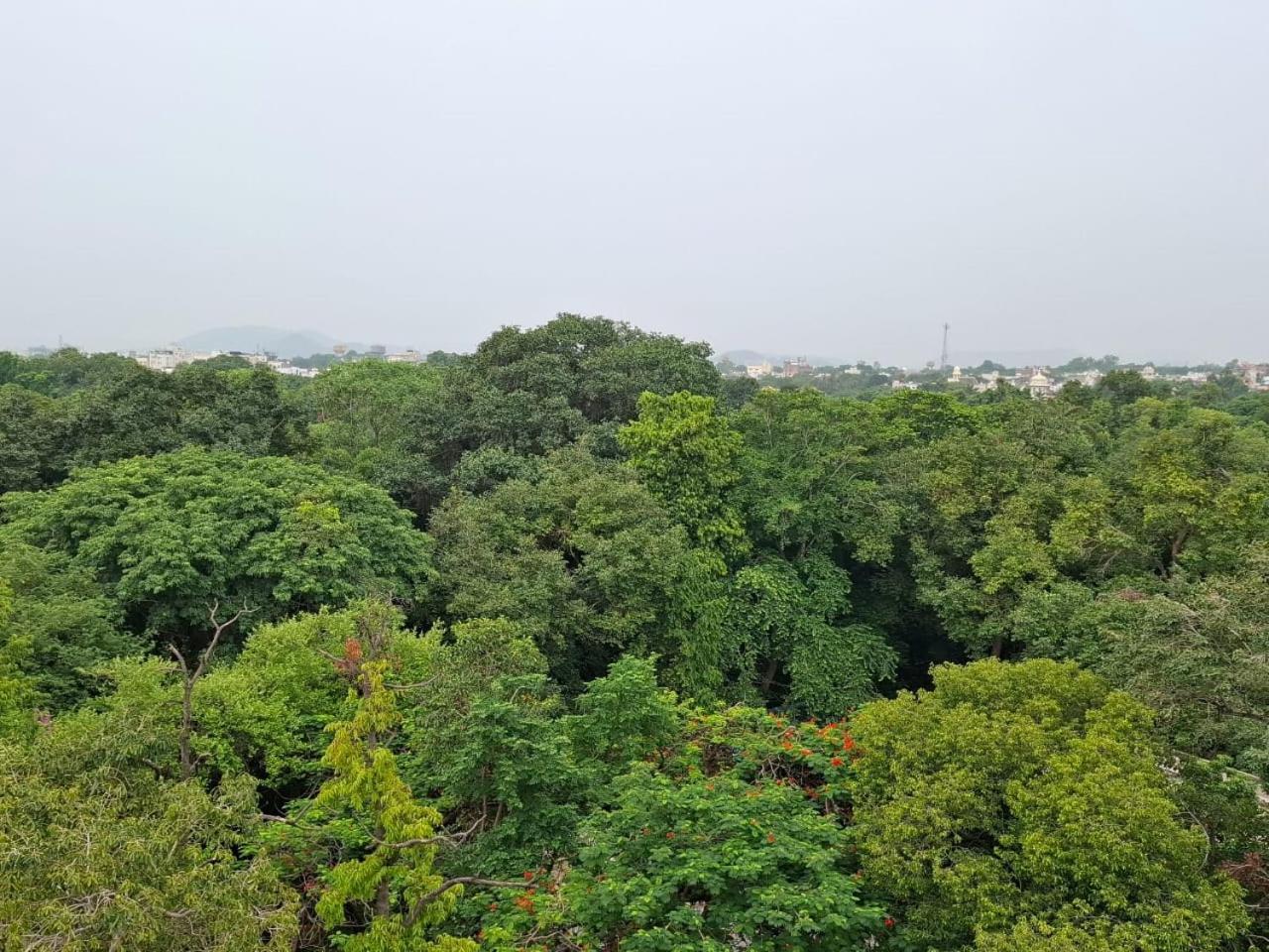 Palace View Hotel 3*