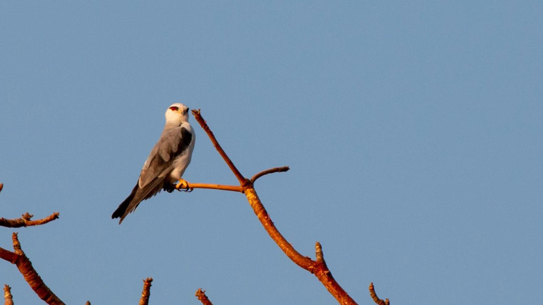 Campsite Dera Baghdarrah Nature Retreat Udaipur