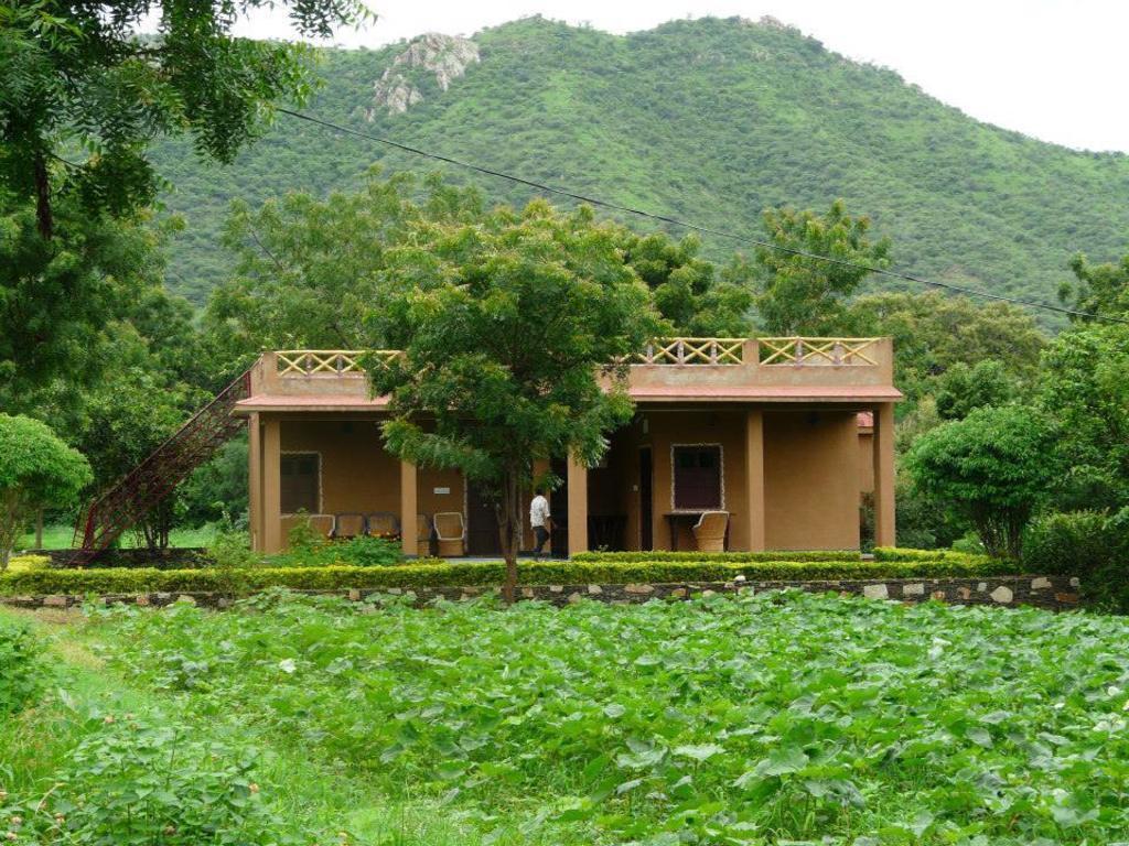 Krishna Ranch Farm stay