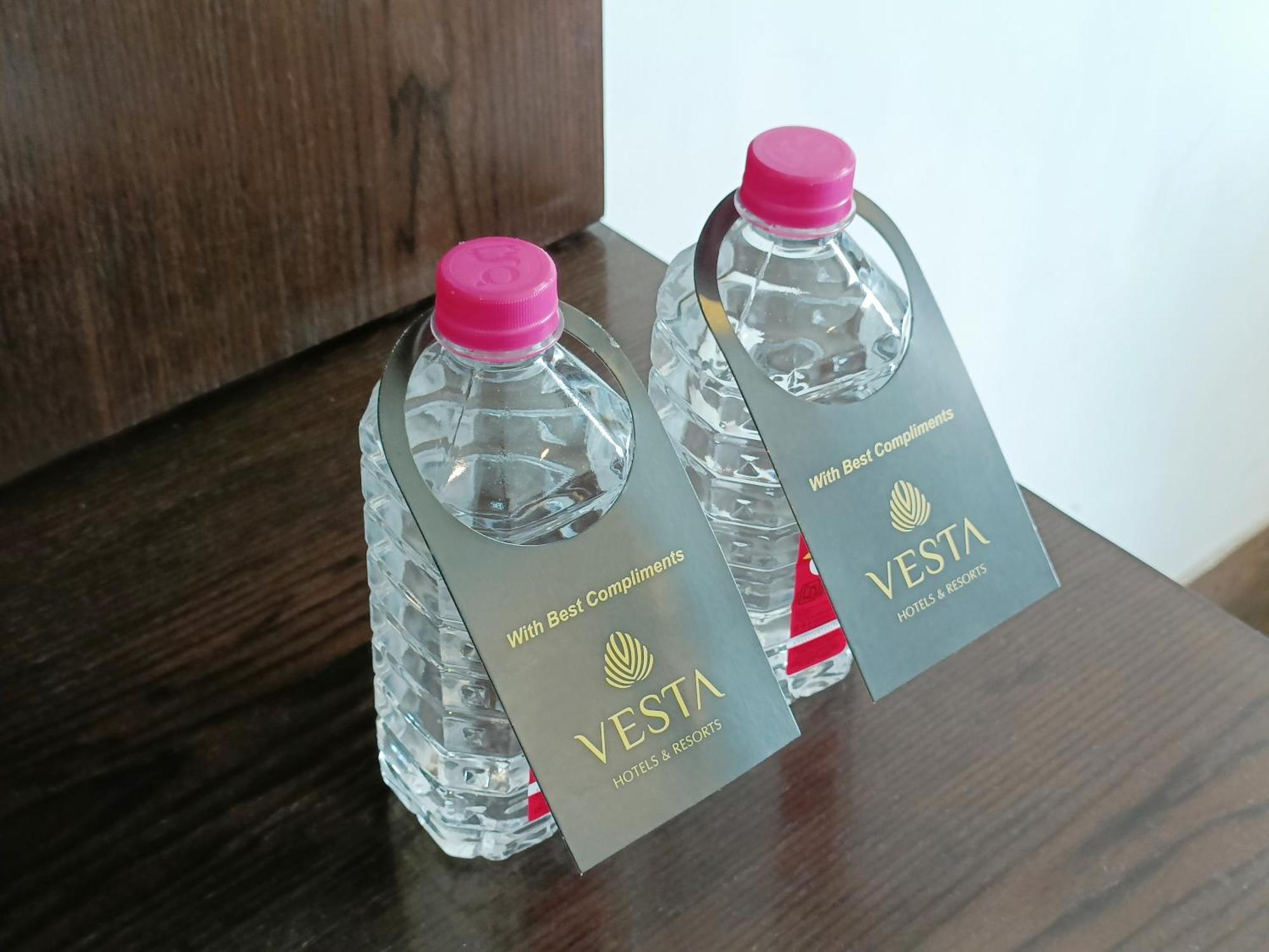 Vesta Grand 4* Udaipur