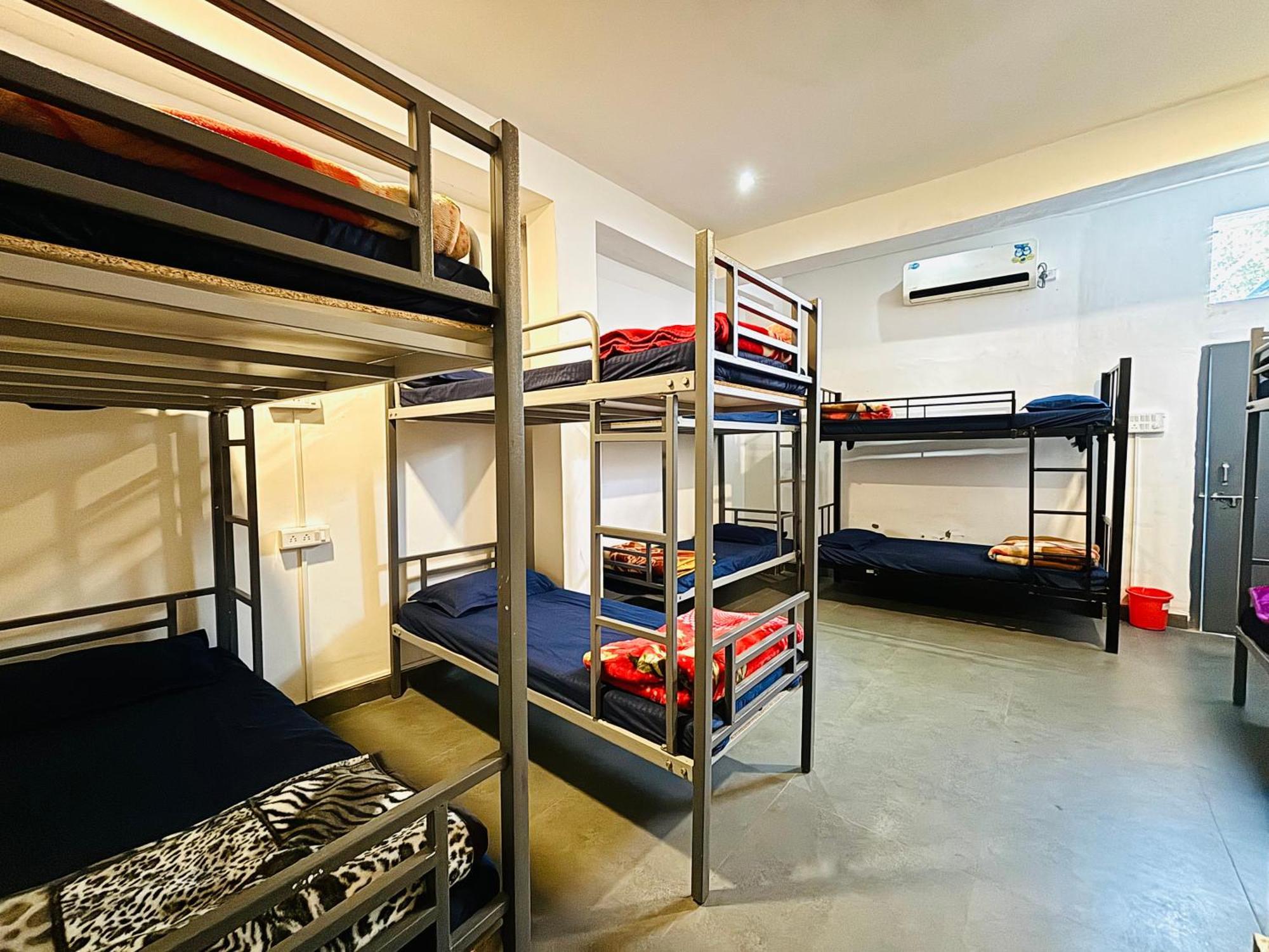 Trip In Hostel