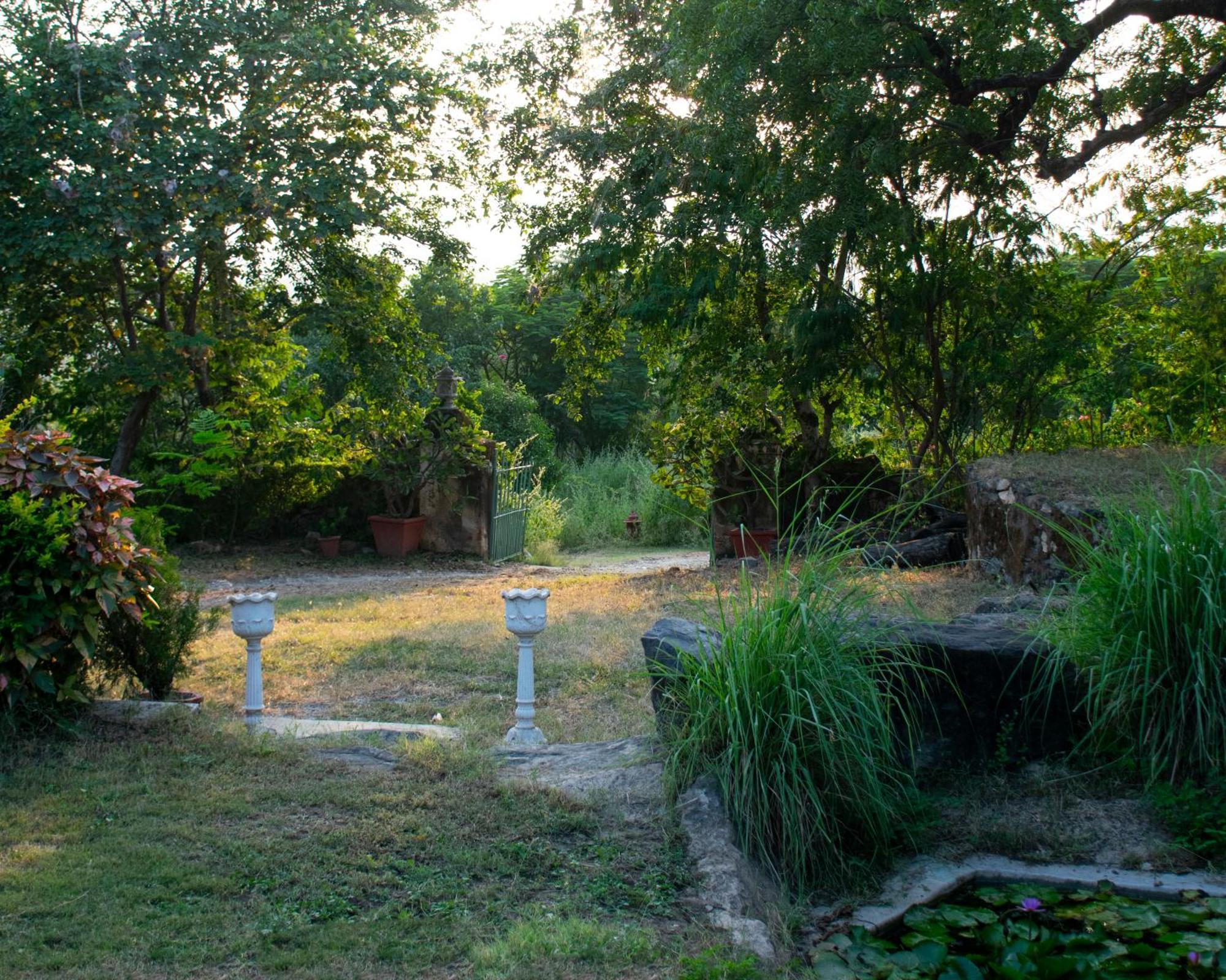 Titardi Garh- 18th Century Castle Homestay *