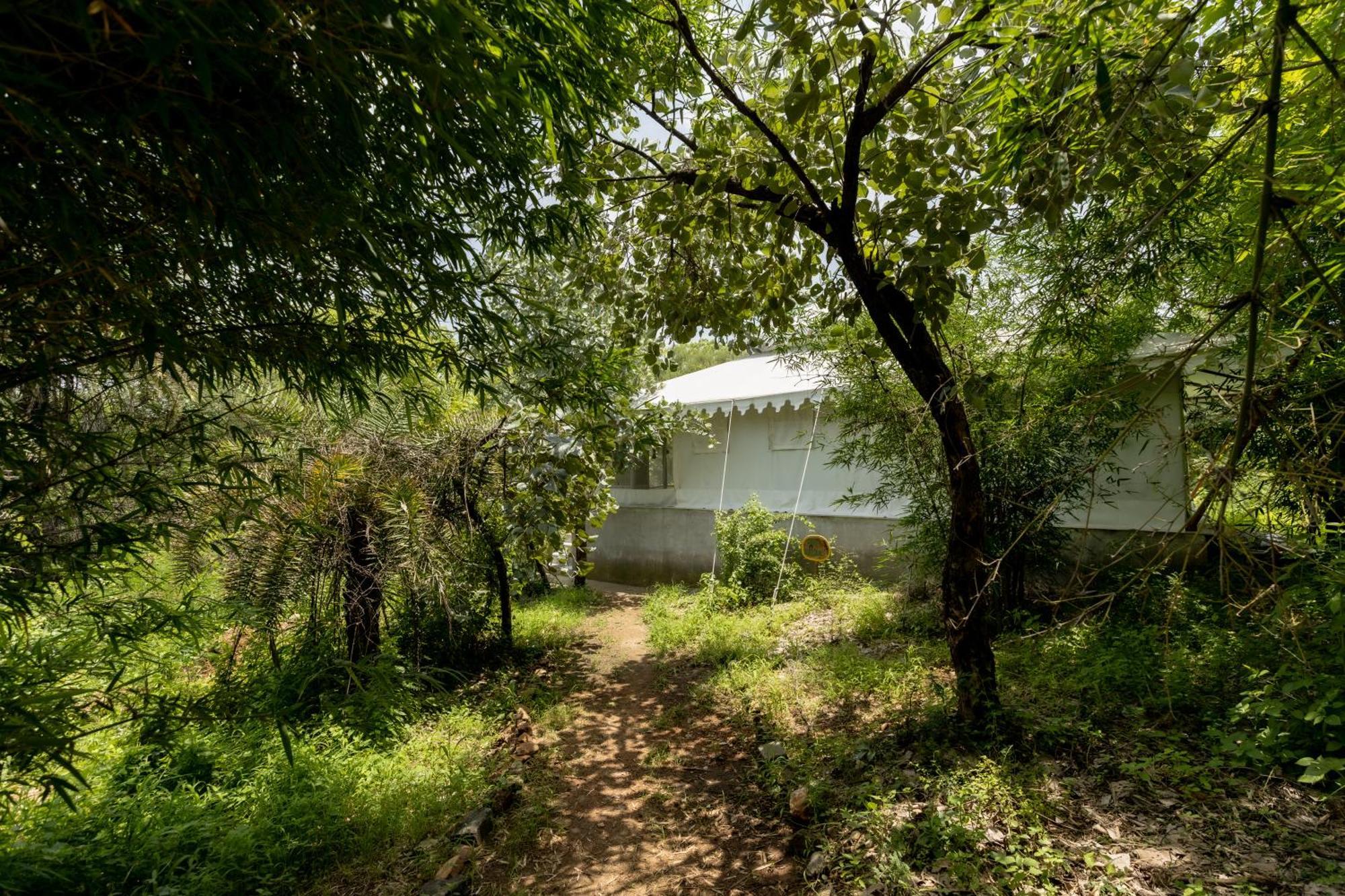 Dera Baghdarrah Nature Retreat Campsite